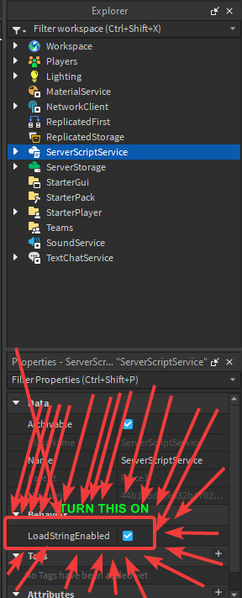 File:Loadstring enabled setup.png